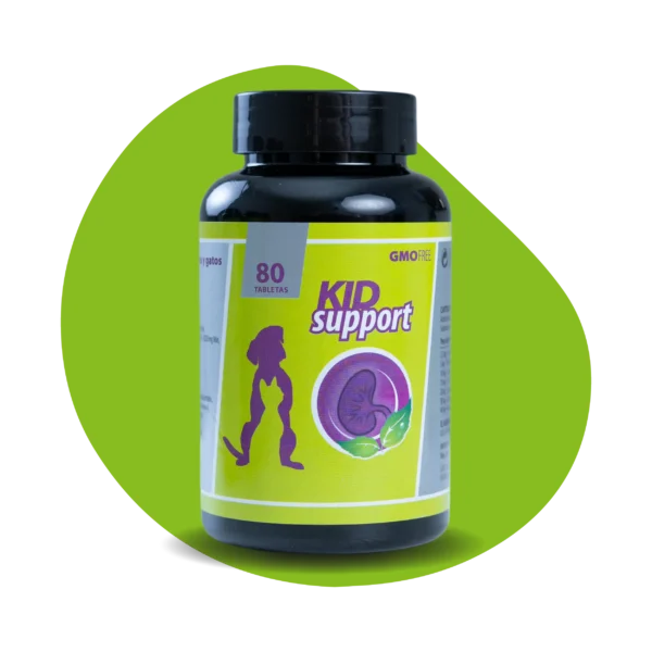 KID SUPPORT
